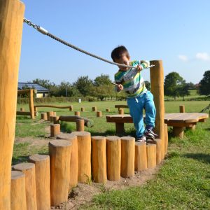 Organisk plattform i balansbana-Woodwork AB